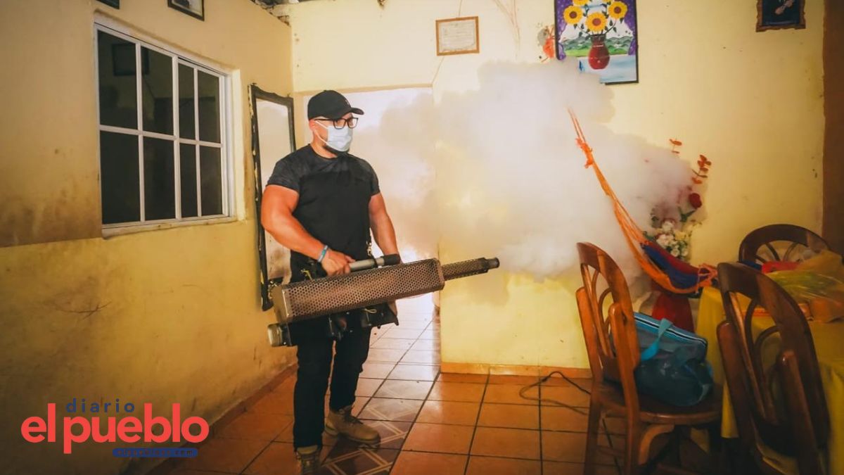 Diputado Herbert rodas lidera jornada de fumigación