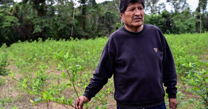 Presidente de Bolivia afirma que Evo Morales comparecerá ante la justicia tras orden de captura