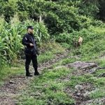 Plan Control Territorial y Régimen de Excepción consolidan baja de homicidios